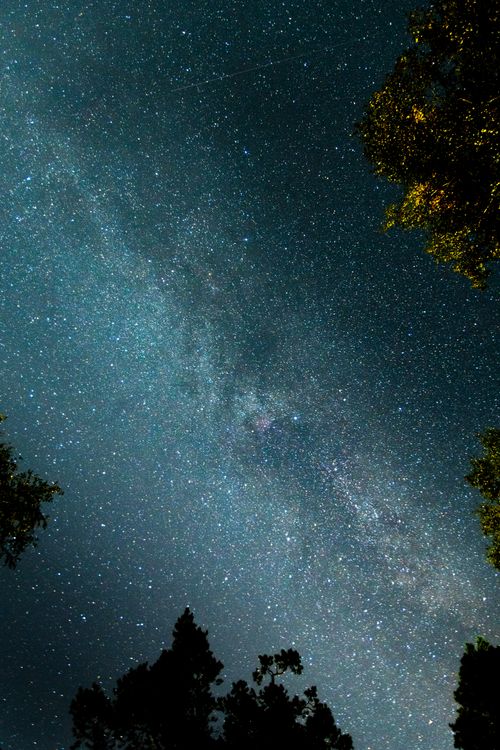 Free A breathtaking view of the Milky Way galaxy surrounded by trees at night. Perfect for astronomy enthusiasts. Stock Photo