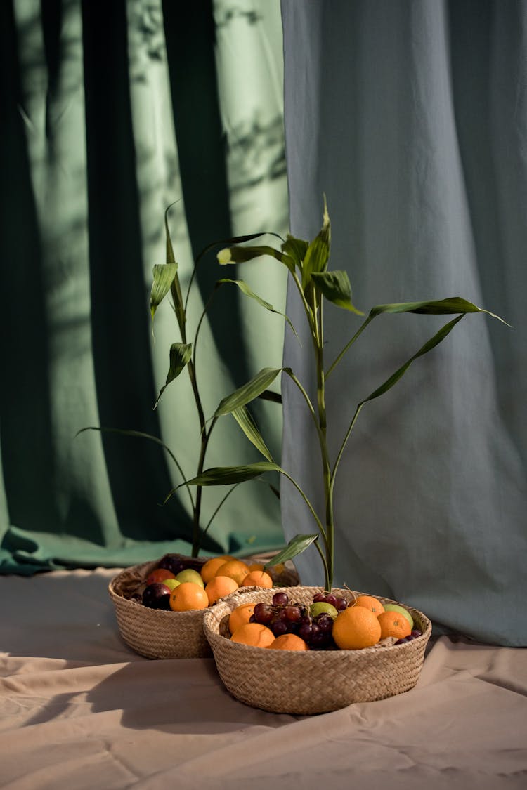 Fresh Fruits And Plants In A Basket