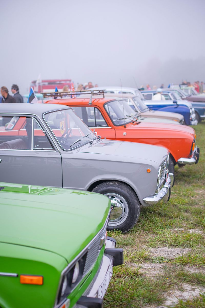 Colorful vintage cars lined up outdoors on a foggy day at an exhibition.
