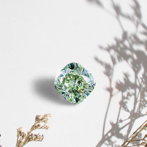 Free Close-up of a green diamond with shadow of plants, exuding luxury and elegance. Stock Photo