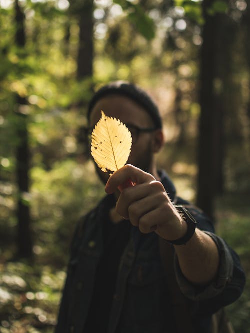 A Man Holding a Leaf