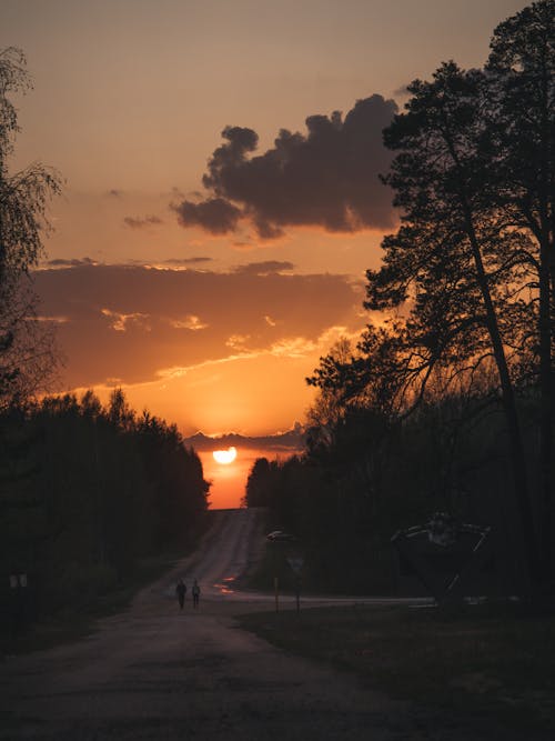 Foto profissional grátis de alvorecer, árvores, cair da noite