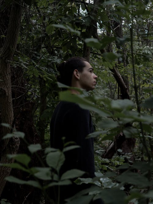 Man Standing in the Woods