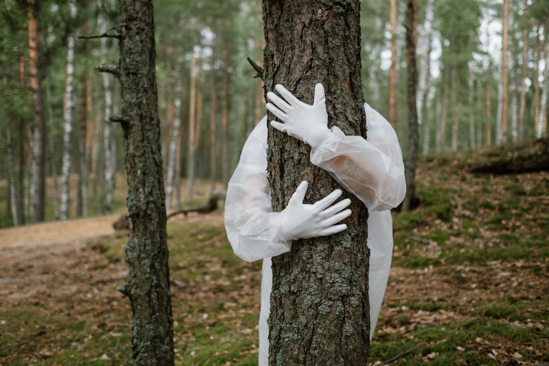 A person in a protective suit and gloves embraces a tree in a serene forest, symbolizing environmental protection.