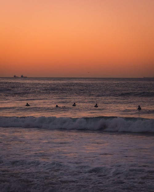 Free People Swimming On The Beach At Sunset Stock Photo