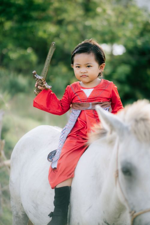 Free Adorable child dressed as a warrior riding a horse with a toy sword outdoors. Stock Photo
