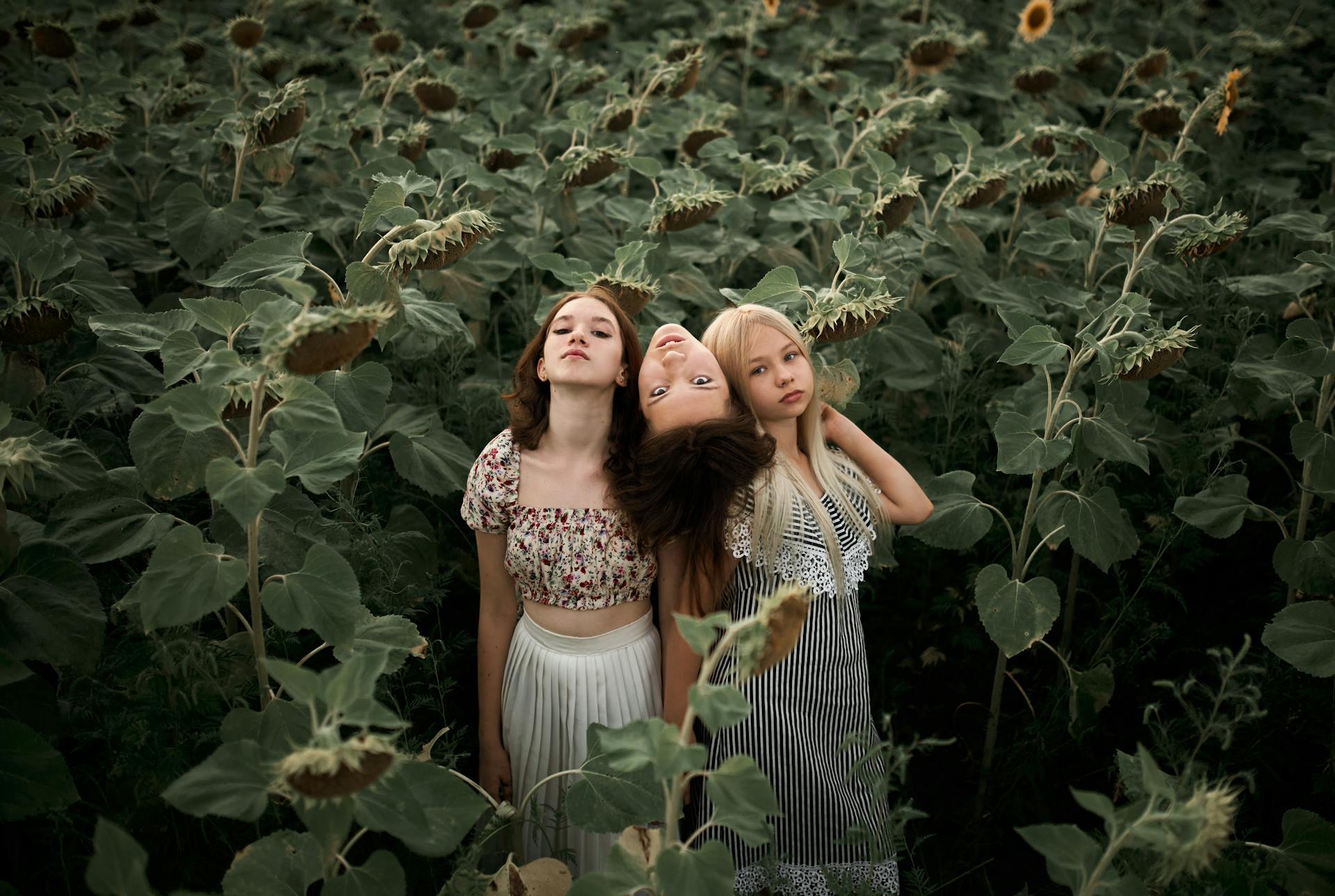 Three Young Women Standing in a Sunflower Field