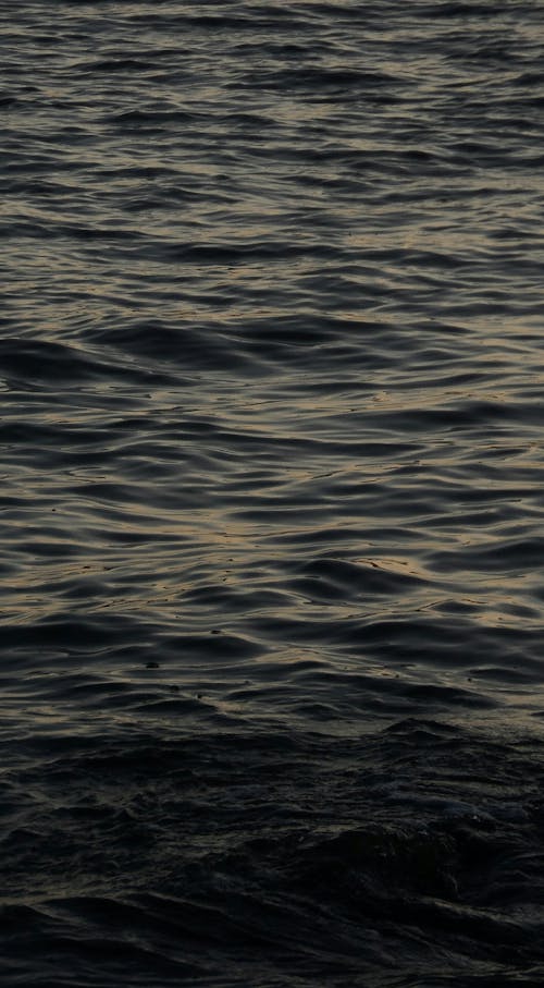 Darmowe zdjęcie z galerii z fale, jezioro, monochromatyczny