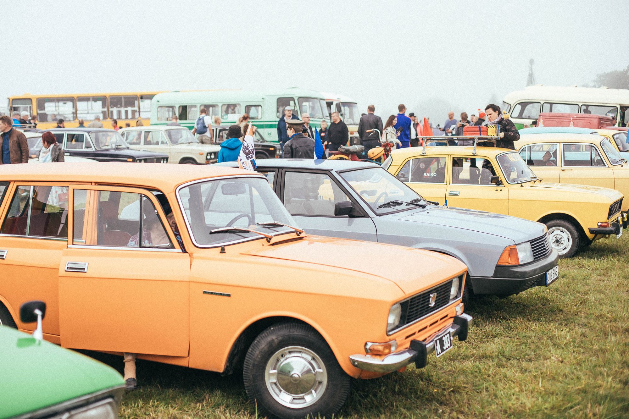 Shows vintage cars on a grassy field with a visible crowd browsing the show, matching the public park car show format…