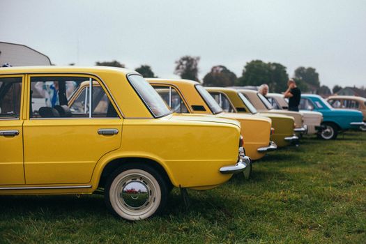 Collection of vintage sedans in a public car show display on a grassy field.