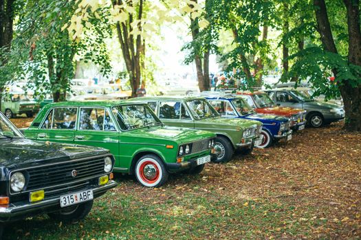 Classic vintage cars parked in a lush forest setting during an outdoor car show, evoking nostalgia.