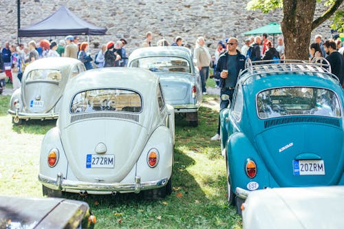 Základová fotografie zdarma na téma auta, automobil, dopravní systém