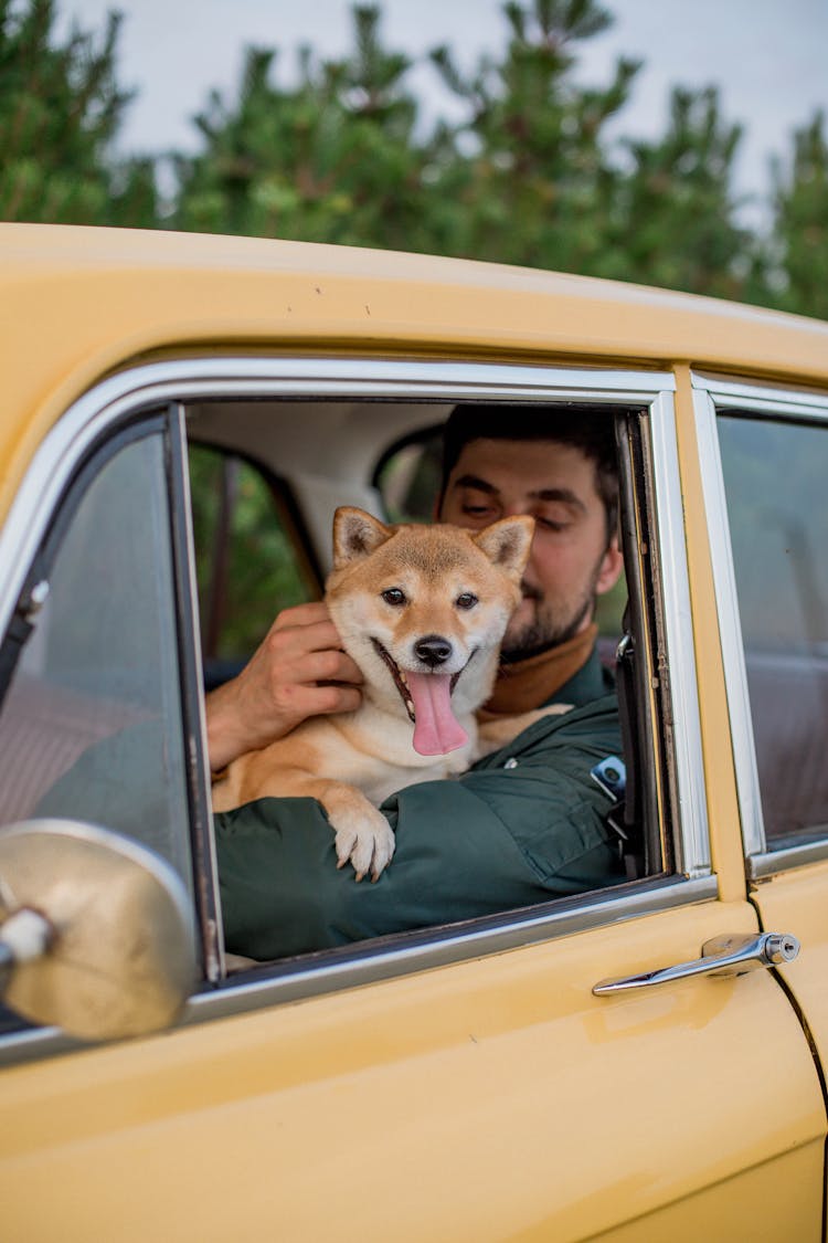 Man Inside A Car With His Dog 