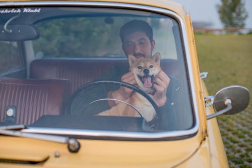 A Man Sitting Inside a Car With His Dog 