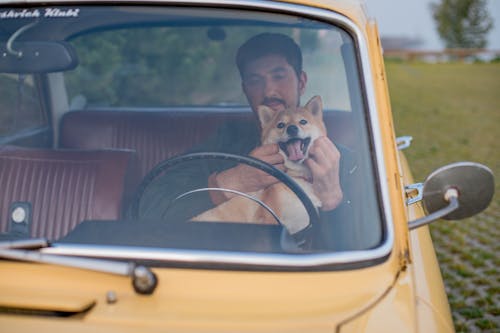 Free Man Inside a Car with his Dog Stock Photo