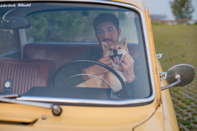 Man Inside A Car With His Dog