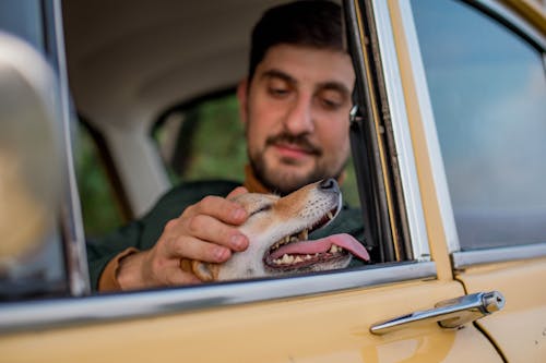 Free Man Petting his Dog Stock Photo