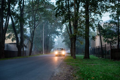 Gratis stockfoto met auto, automobiel, bomen