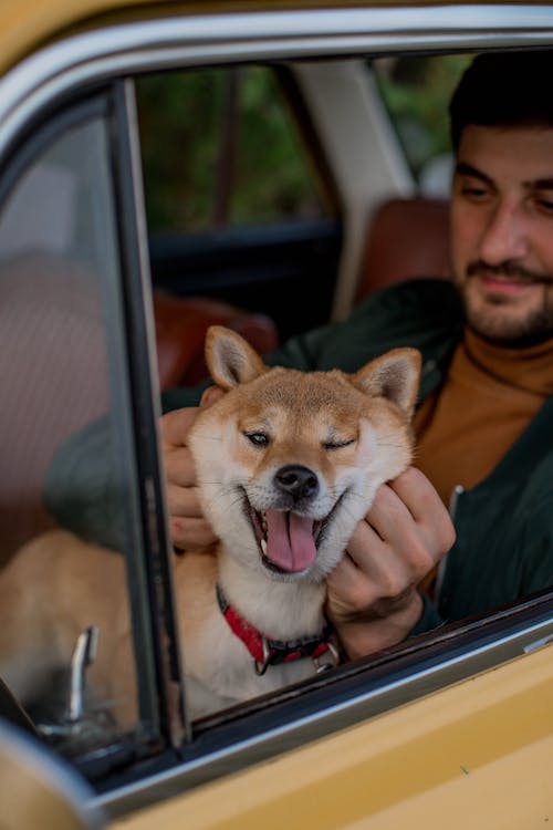 A Man With His Dog  