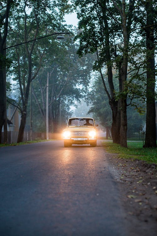 Gratis stockfoto met auto, bomen, koplampen