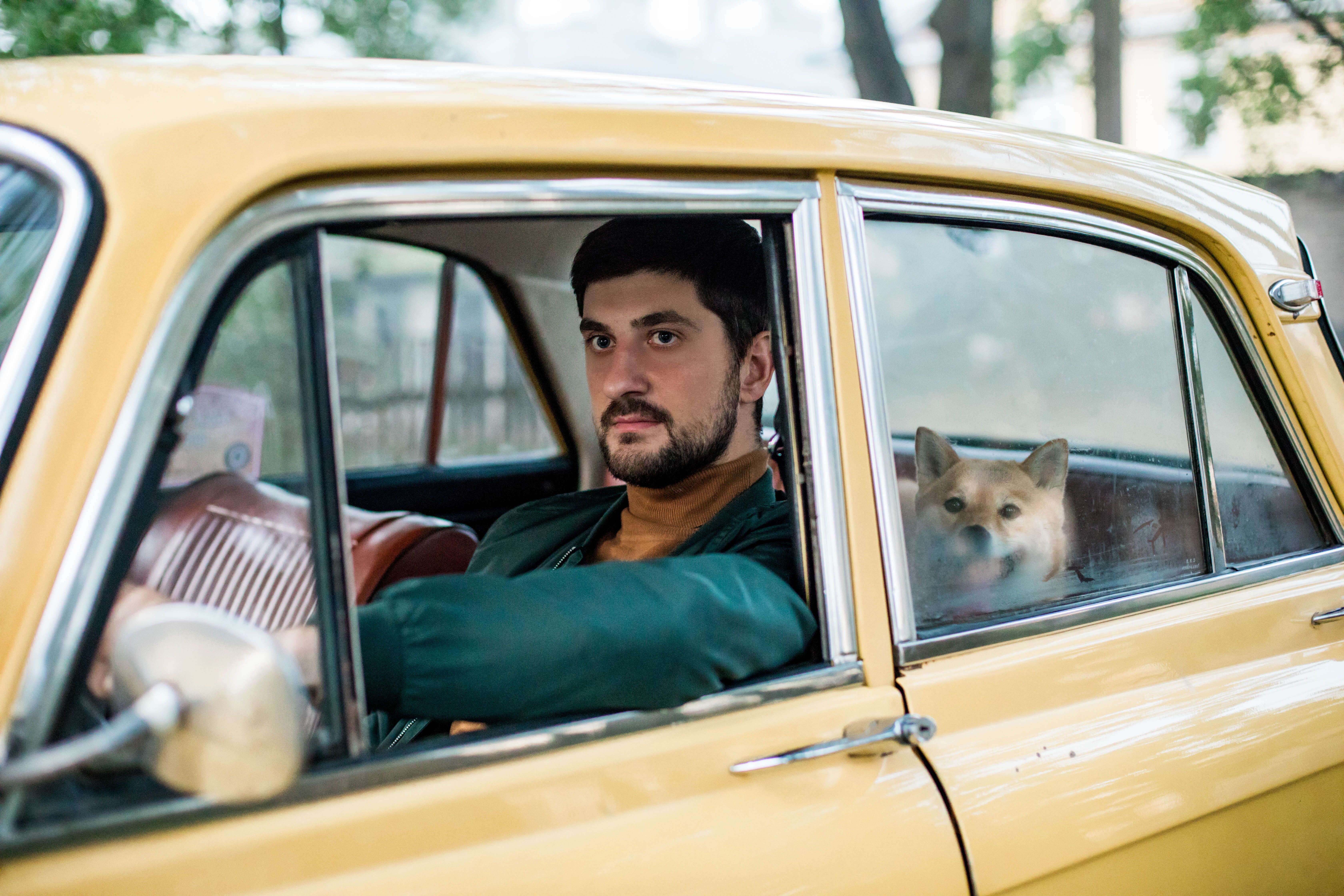 Man driving a vintage yellow car with a Shiba Inu dog in the back seat.