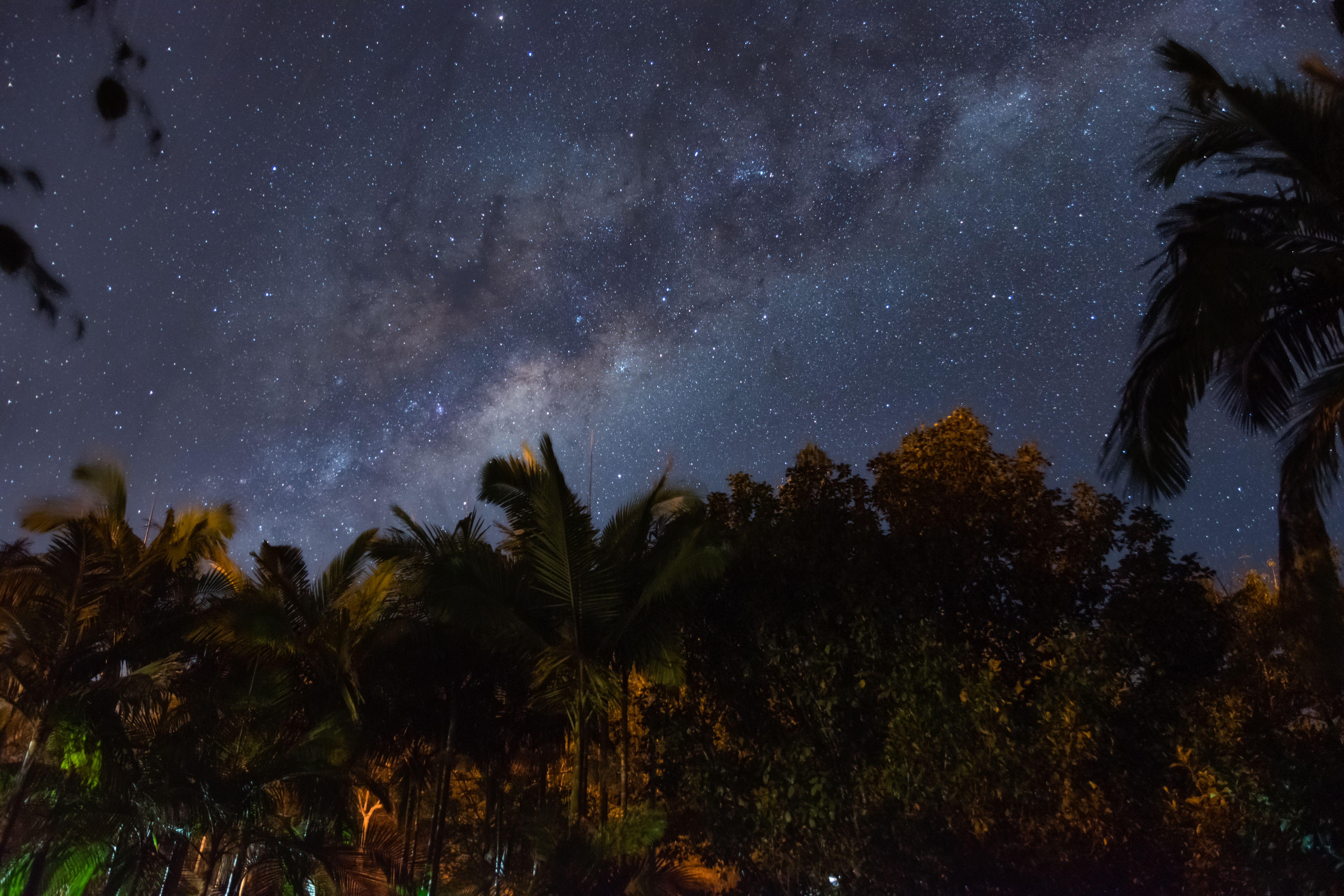 Beautiful view of the Milky Way and stars over palm trees in Miracatu, Brazil.
