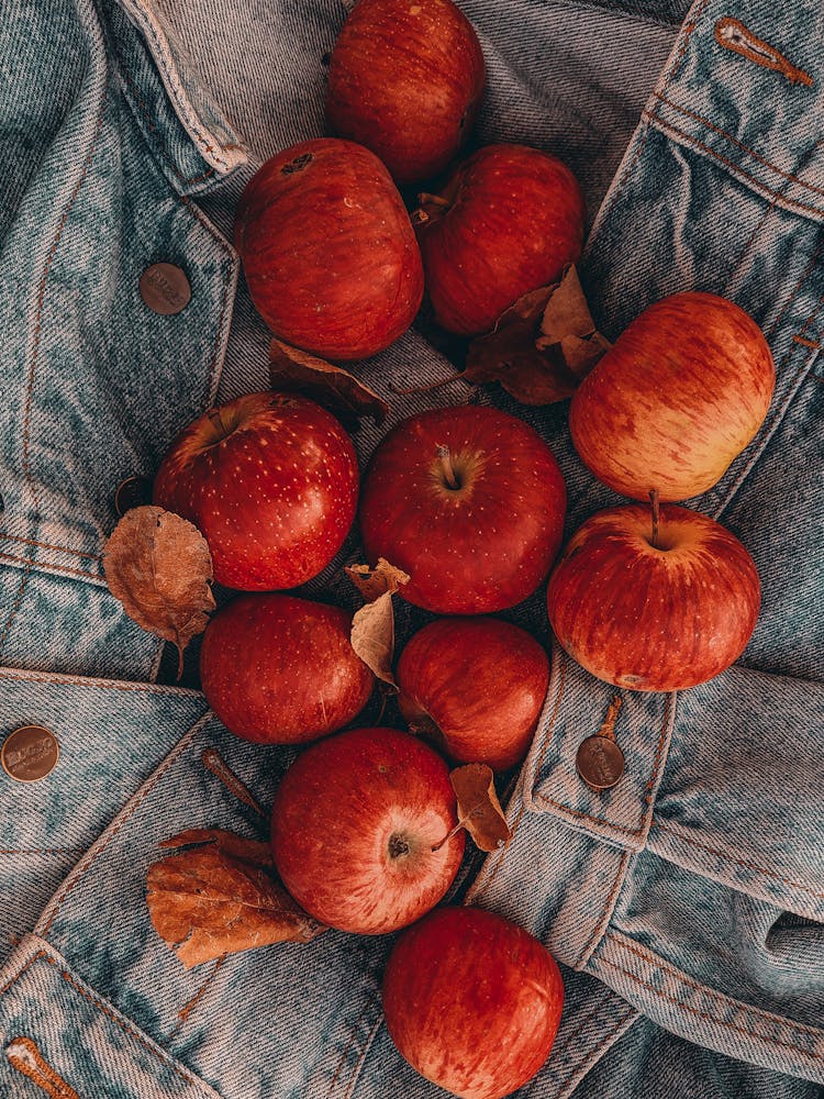 Red Apples On Denim Jacket