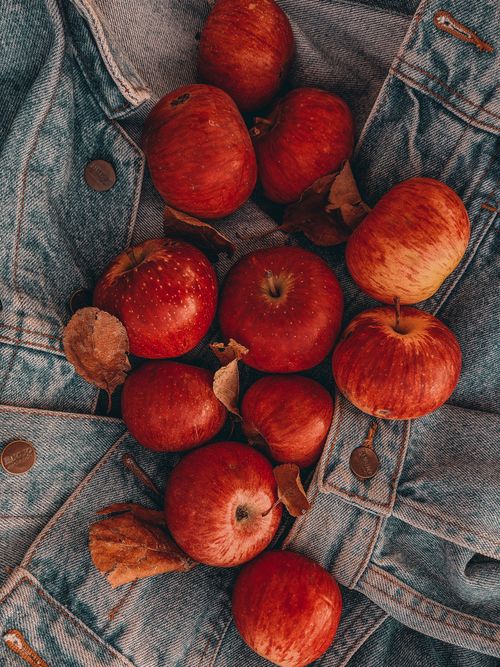 Free Aesthetic arrangement of red apples on a denim jacket adorned with dried leaves, showcasing a rustic and autumnal feel. Stock Photo