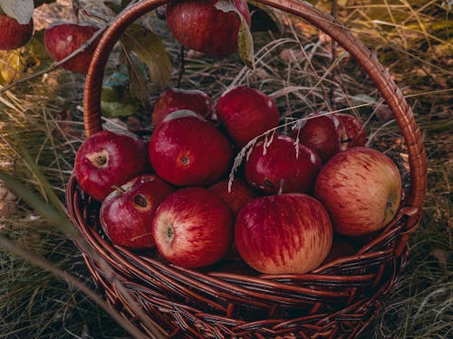 Ingyenes stockfotó almák, élelmiszer, gyümölcs témában