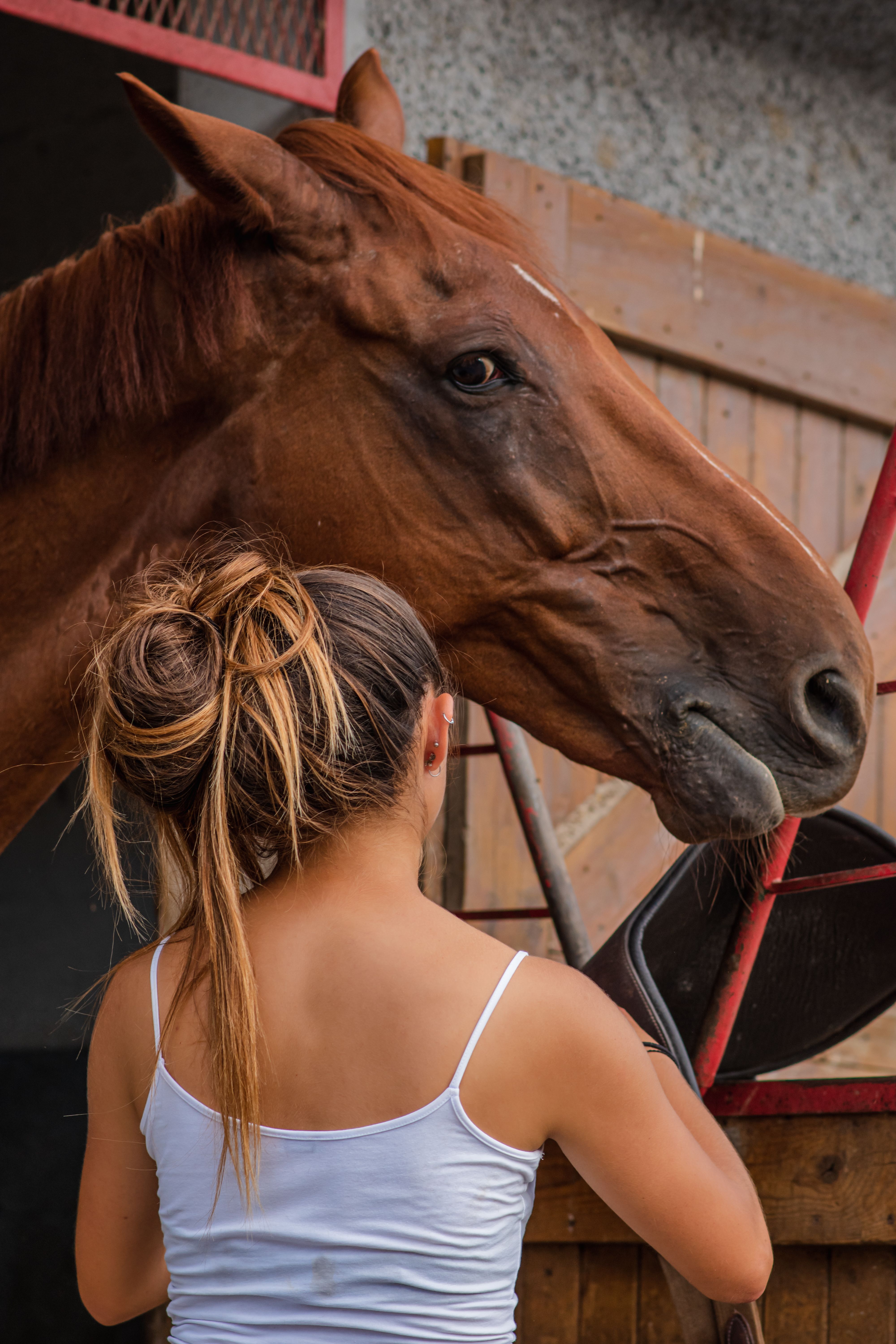 A woman standing with her horse, captured from behind in a stable setting.