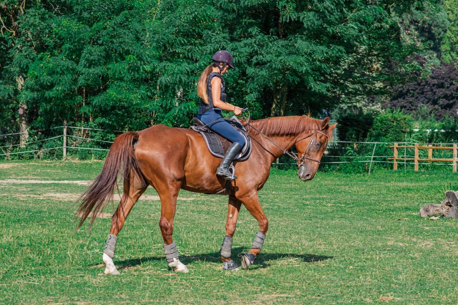 The 7 Most Common Beginner Riding Mistakes (And How to Fix Them)