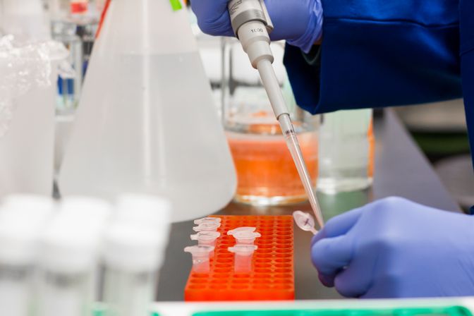 Nutraceutical automation and robotics