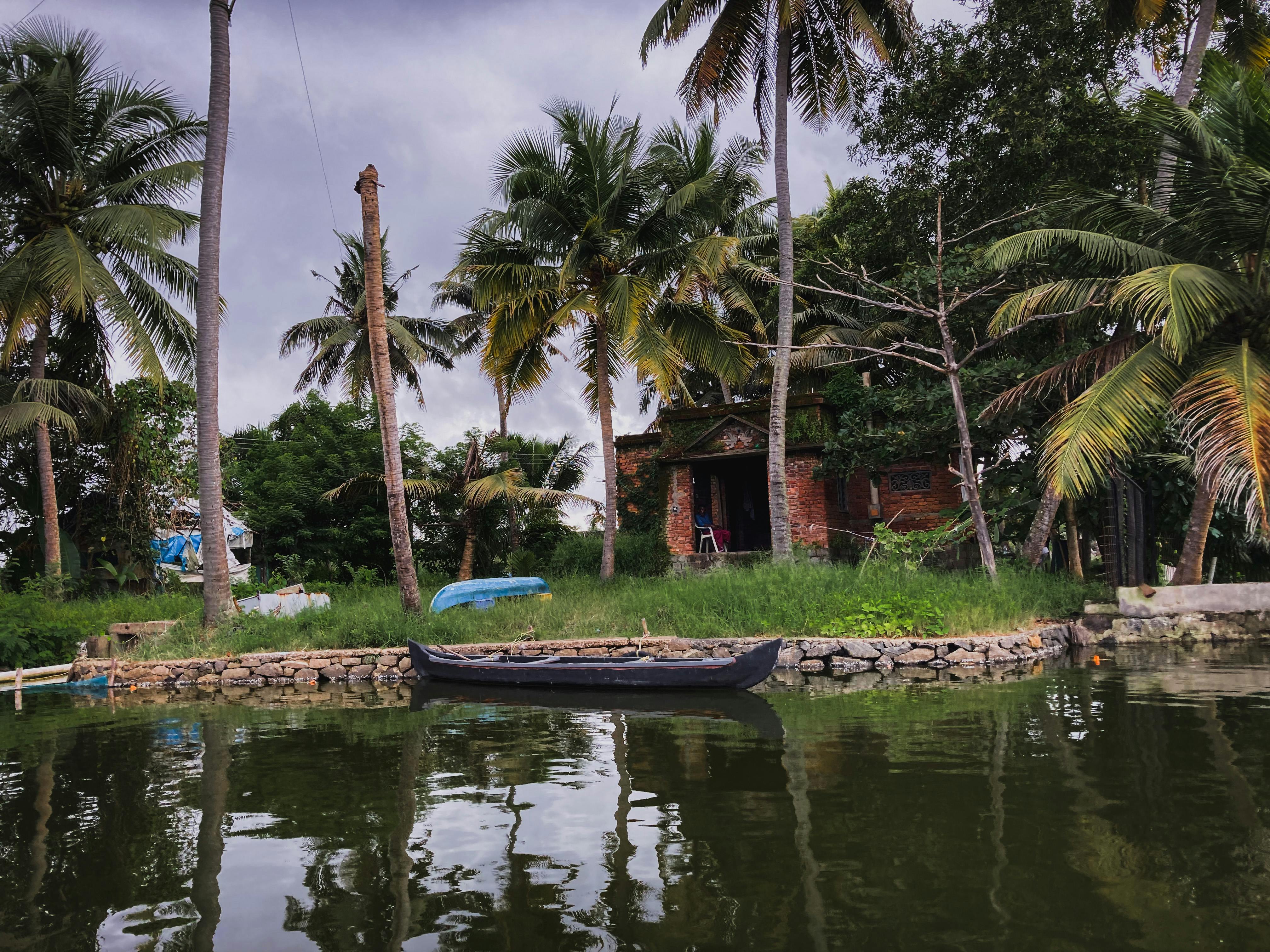Community vaccination event with diverse people waiting in line