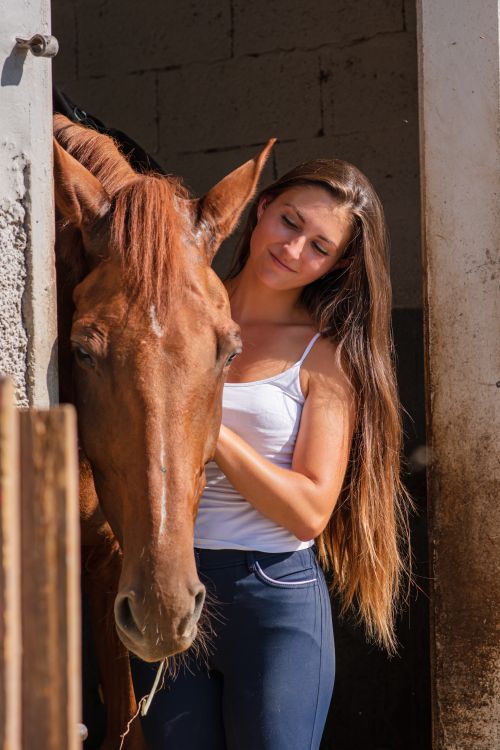 Free A young woman with long hair lovingly pets a brown horse in a stable setting. Stock Photo