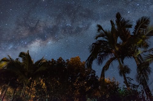 Free Milky Way and a Starry Night Sky Stock Photo