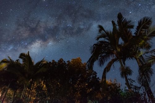 Free A stunning view of the Milky Way and starry night sky above palm trees in Brazil. Stock Photo