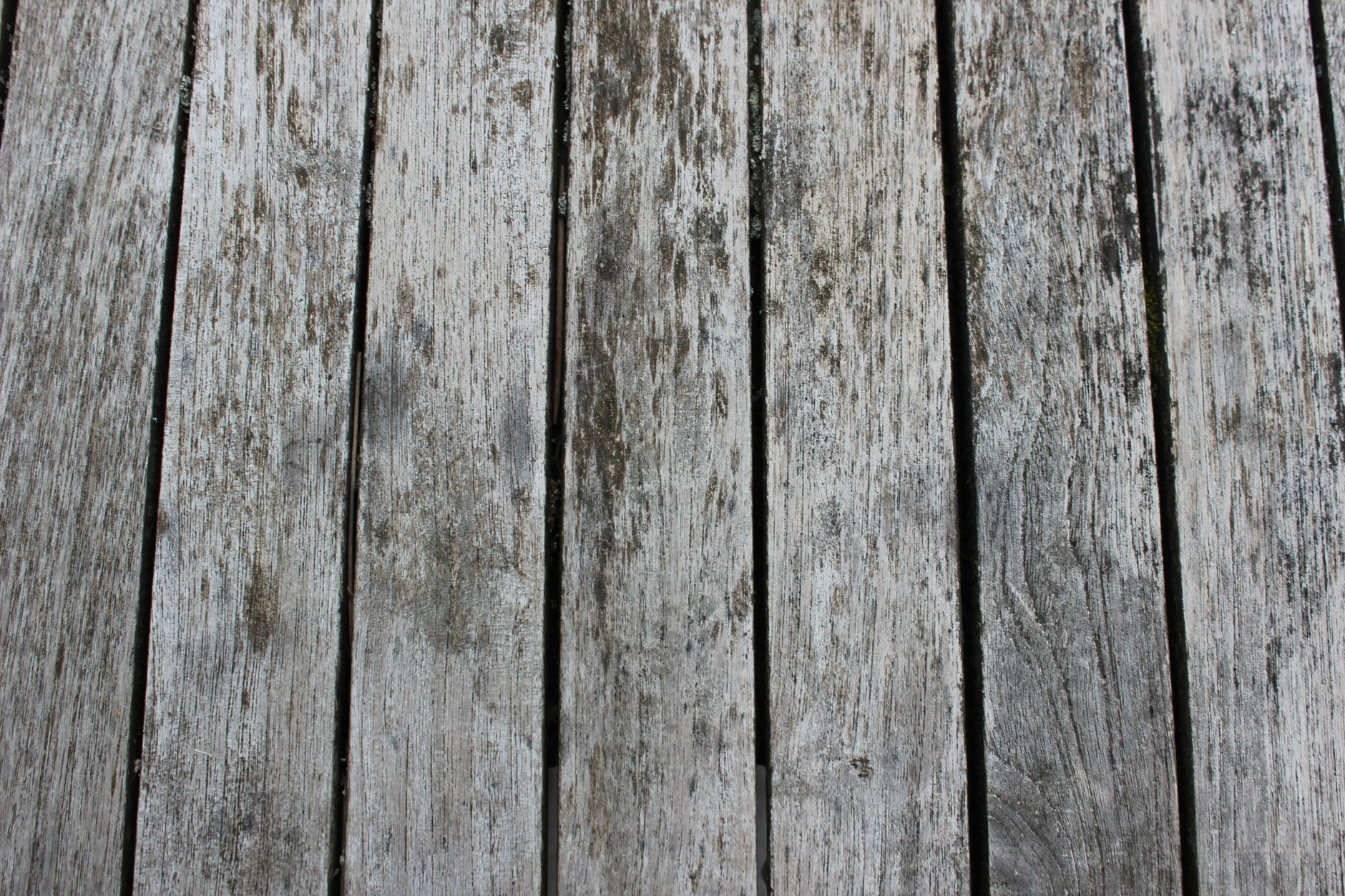 Rich tropical ipe hardwood deck surface durable in wet weather conditions