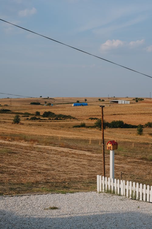 Kostenloses Stock Foto zu außerorts, feld, gras