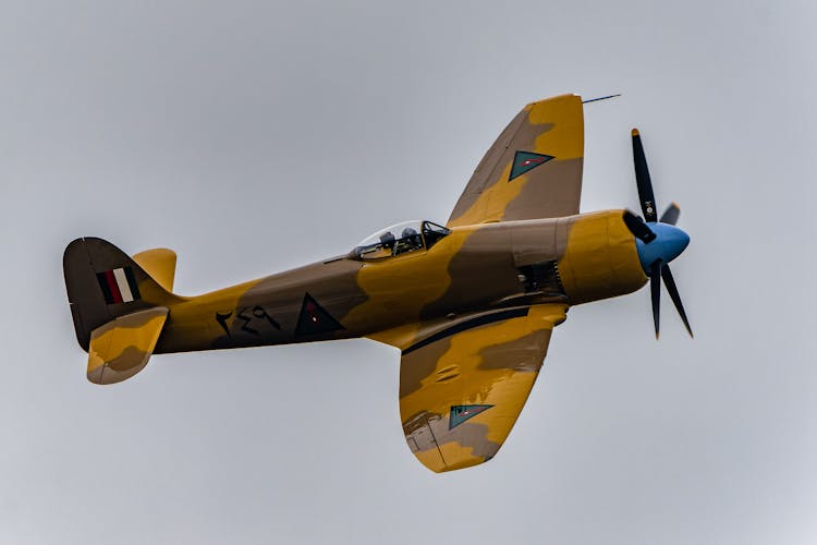 Hawker Sea Fury In The Sky