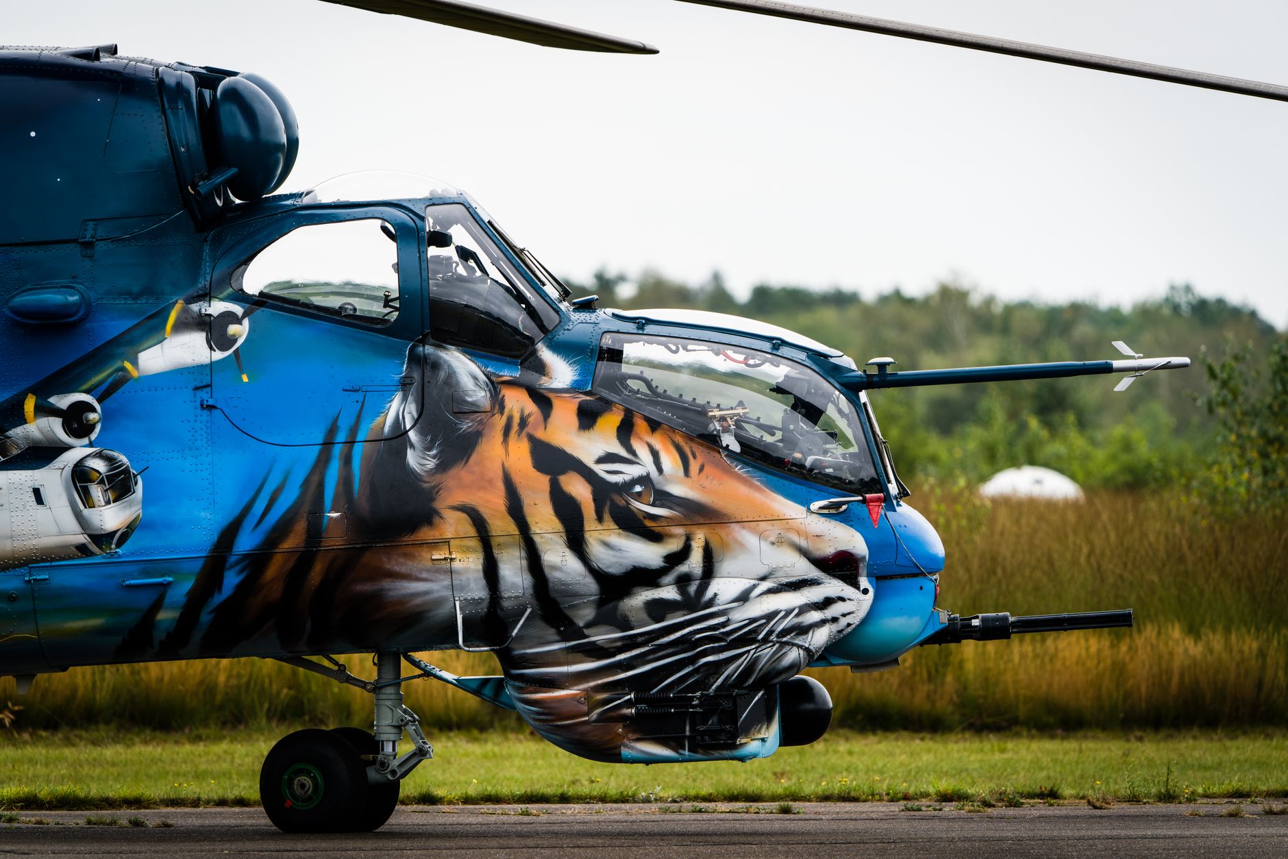 Close-up of helicopter with tiger artwork at Hechtel-Eksel airfield.