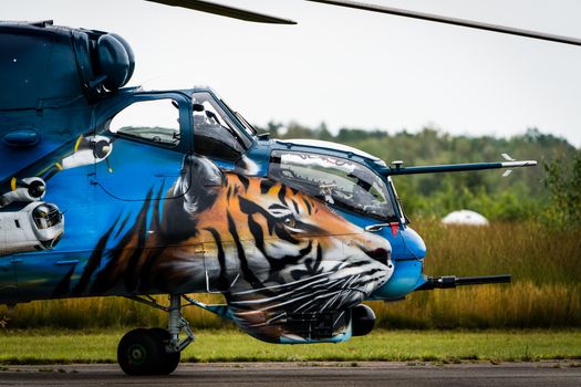 Tiger and Tiger Riding on Blue Car