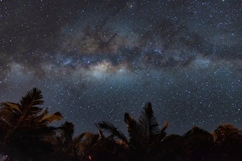 Free Milky Way and a Starry Night Sky Stock Photo