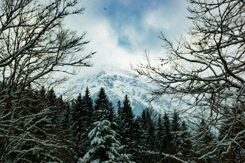 Free Scenic winter view of snow-capped mountains amidst a dense, frosty Bavarian forest. Stock Photo