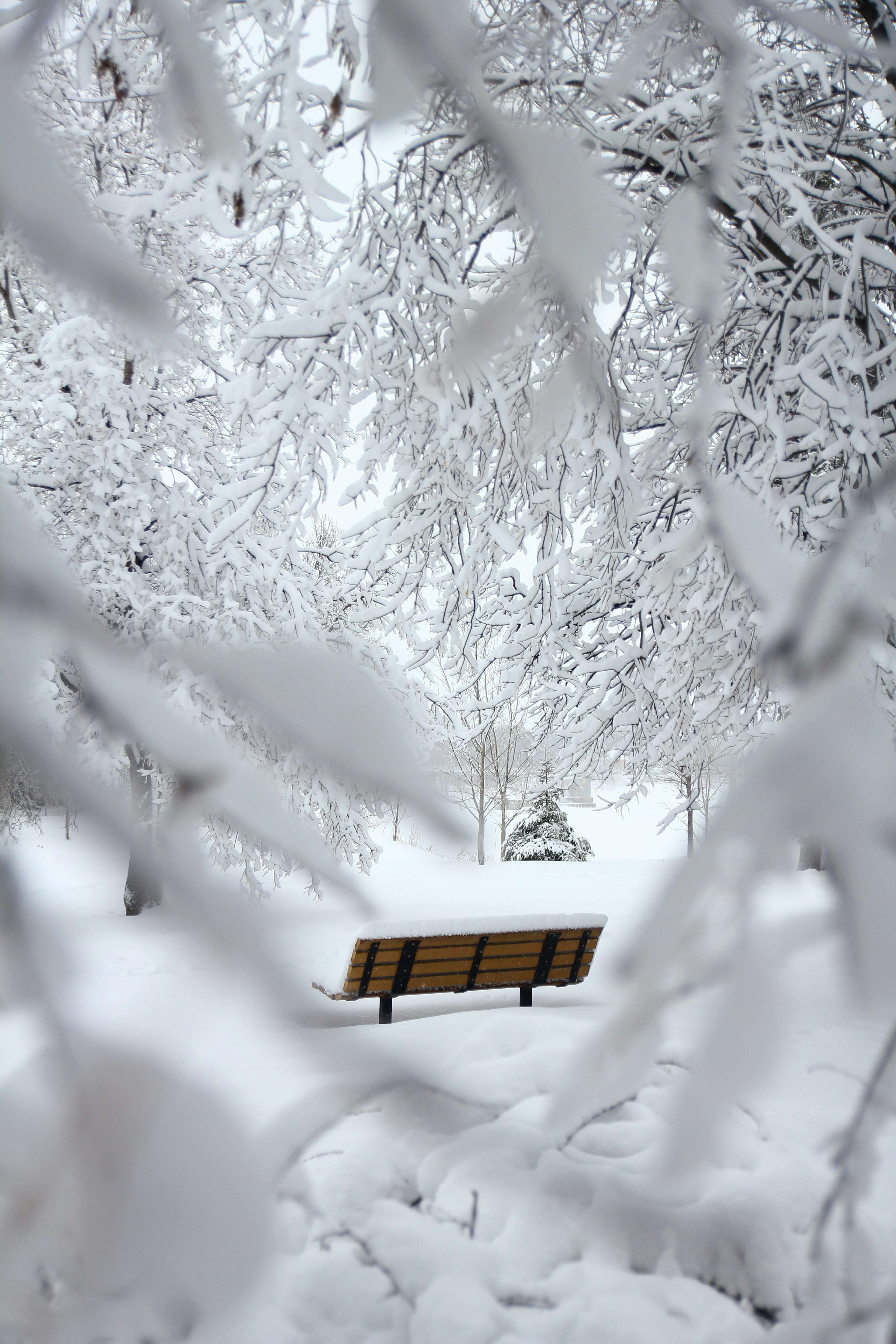 beautiful winter scenery wallpapers