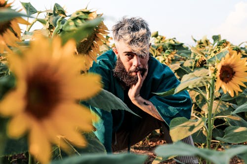 Kostenloses Stock Foto zu bärtiger mann, blumen, draußen