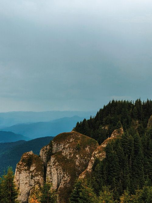 Free Explore a breathtaking cliffside view with dense pine forests under a cloudy sky. Stock Photo