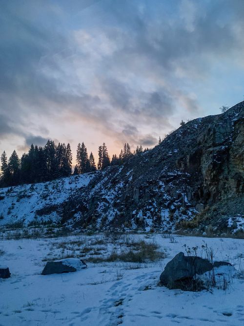 Free Snow-covered hillside with trees at dusk, capturing a serene winter atmosphere. Stock Photo