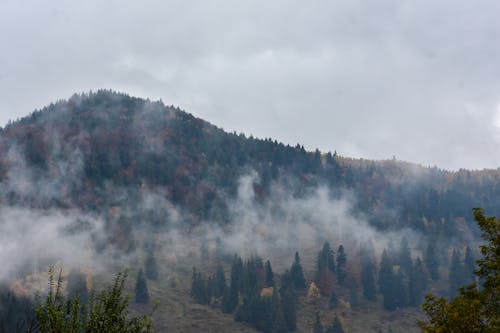 Kostnadsfria Kostnadsfri bild av berg, dimmig, landskap Stock foto