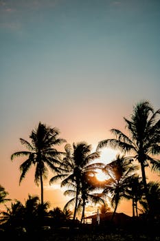 Captivating silhouette of palm trees against a vibrant sunset with a clear blue sky.