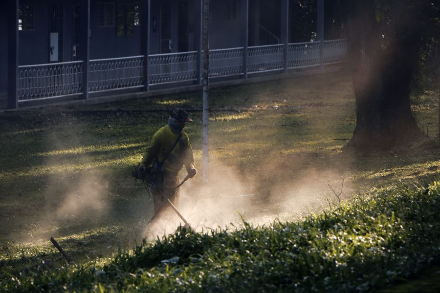 A man cuts grass in the Philippines, creating a dust cloud in the sunlight.